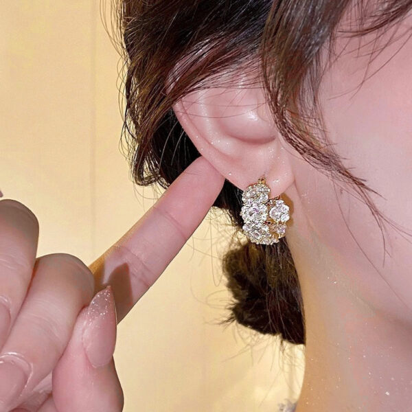 Luxury Sparkle Zircon Hoop Earrings - Image 2